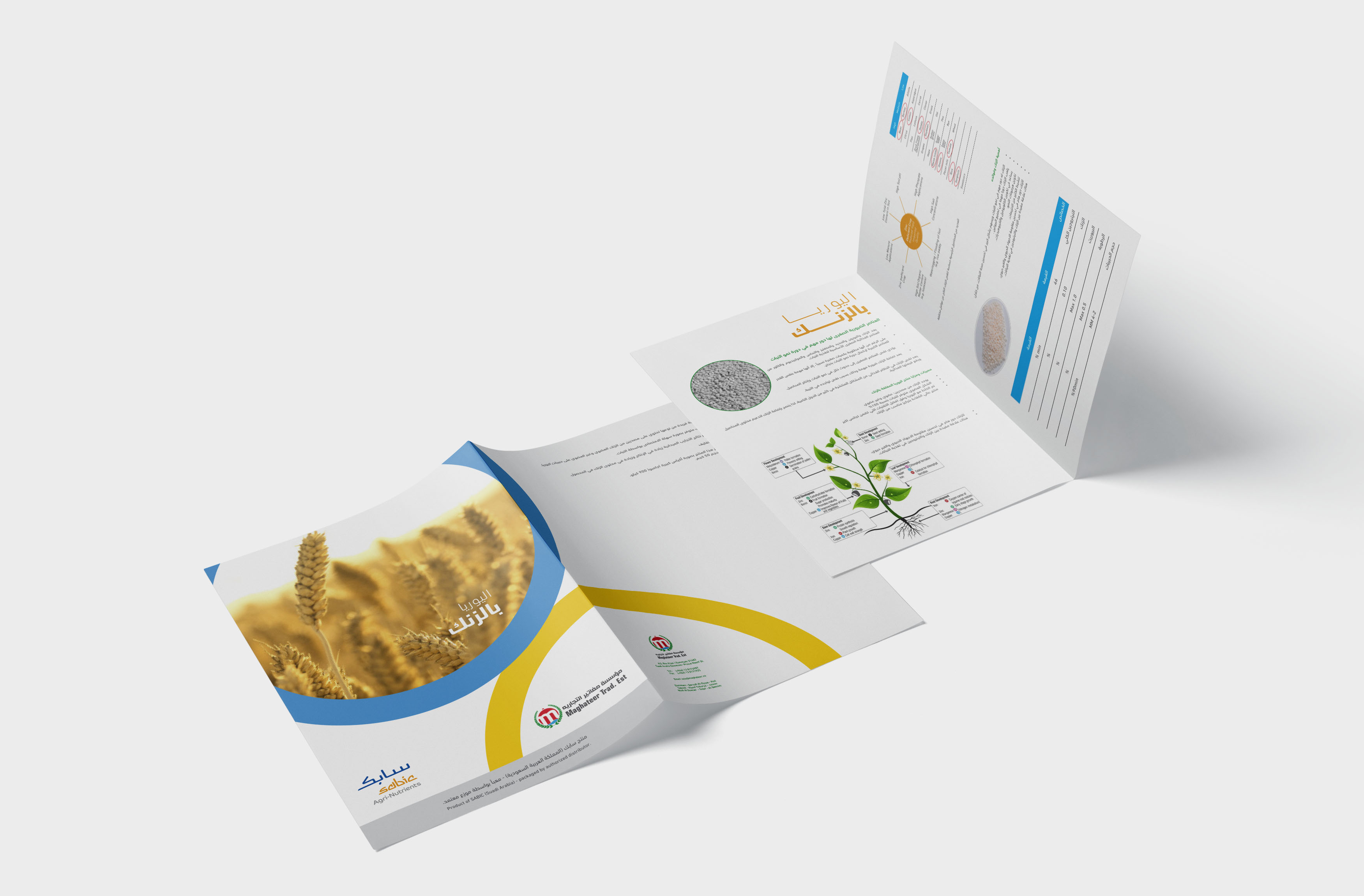 Maghateer A5 Bi Fold-Brochure image 3